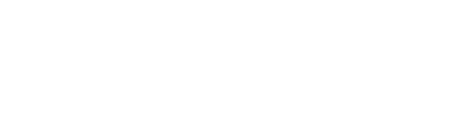 ADNYS Logo